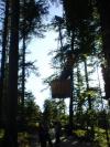 DSC00385.JPG